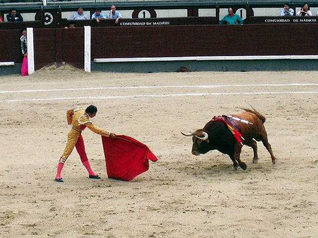 Madrid. Photo by William Situ.
