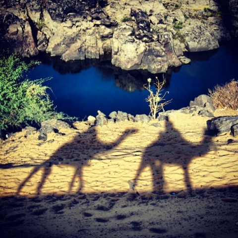 Aswan, Egypt. Photo by William Situ.